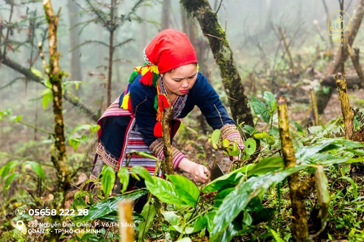 Dịch vụ tắm lá dao đỏ truyền thống tại TP.HCM