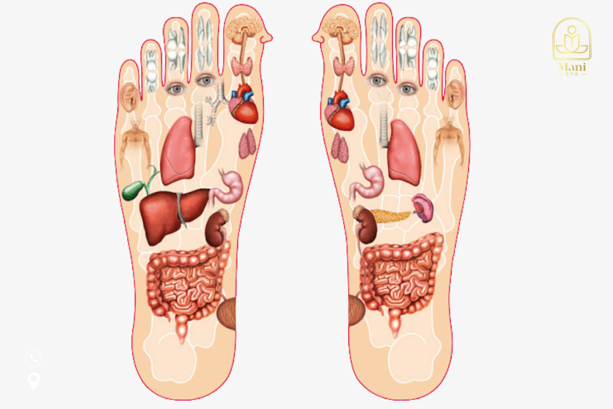 Trị Liệu Lòng Bàn Chân Đông Y TP.HCM | Mani Mani Spa
